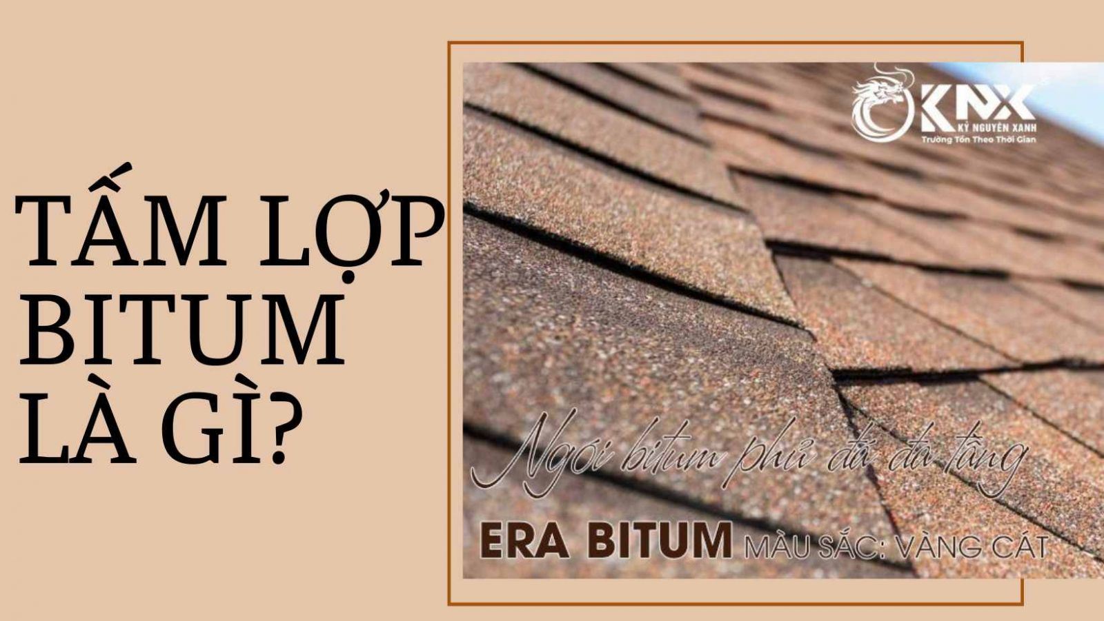 tấm lợp bitum