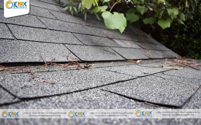 NGÓI BITUM PHỦ ĐÁ KỶ NGUYÊN XANH VÀ NHỮNG ĐIỀU CẦN QUAN TÂM